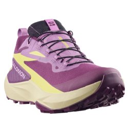 Кросівки Salomon Genesis GTX W - фіолетово/зелені
