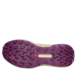 Кросівки Salomon Genesis GTX W - фіолетово/зелені