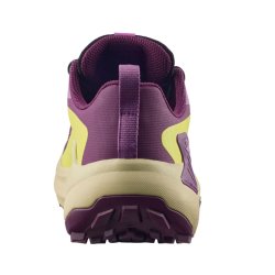 Кросівки Salomon Genesis GTX W - фіолетово/зелені