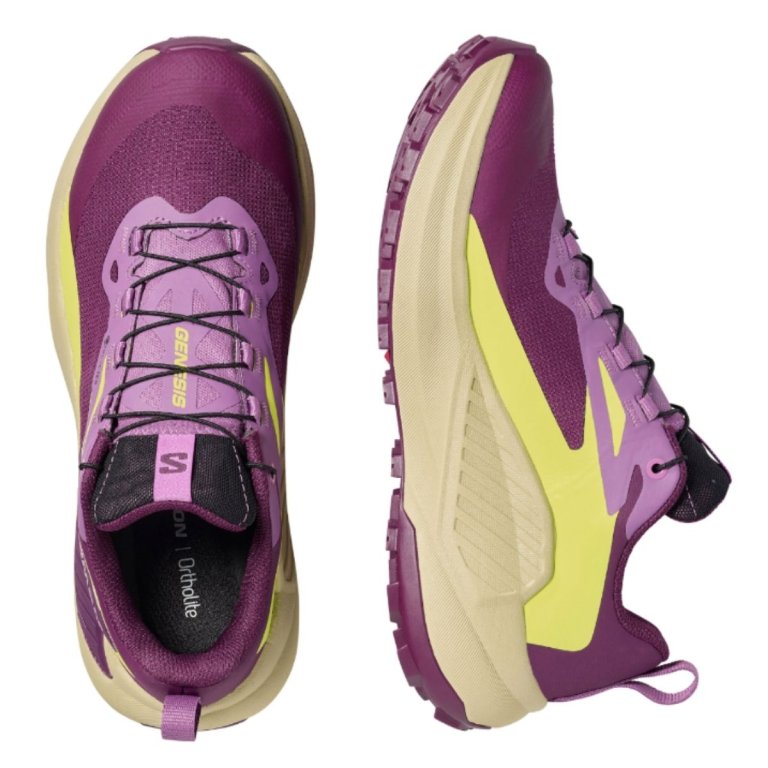 Кросівки Salomon Genesis GTX W - фіолетово/зелені