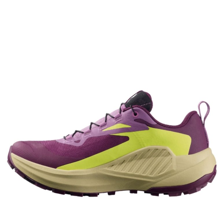 Кросівки Salomon Genesis GTX W - фіолетово/зелені