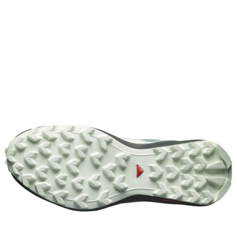 Кросівки Salomon Speedcross Peak GTX W - сині