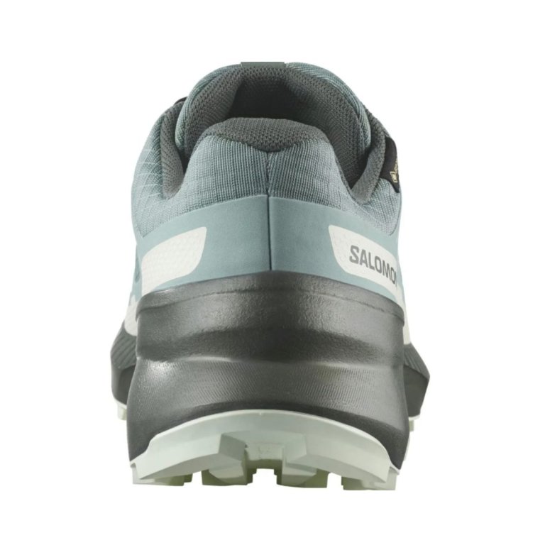 Кросівки Salomon Speedcross Peak GTX W - сині