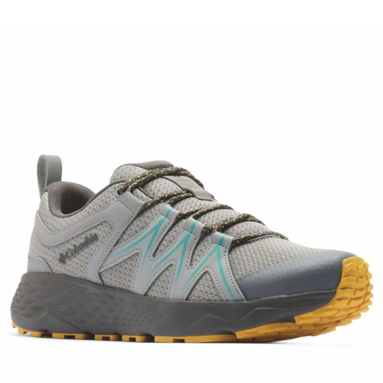 Взуття Columbia Peakfreak Roam™ M - сіре