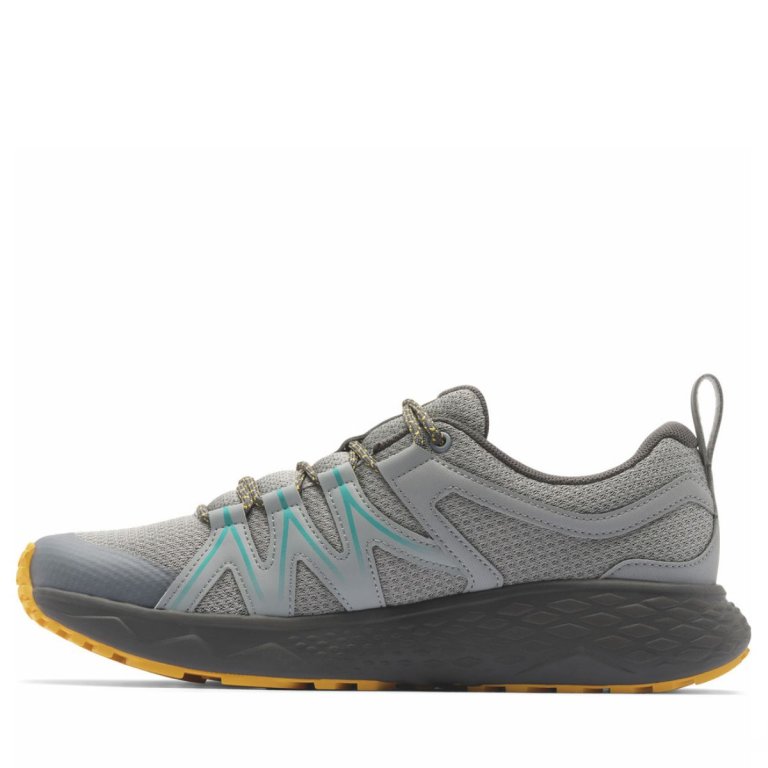 Взуття Columbia Peakfreak Roam™ M - сіре