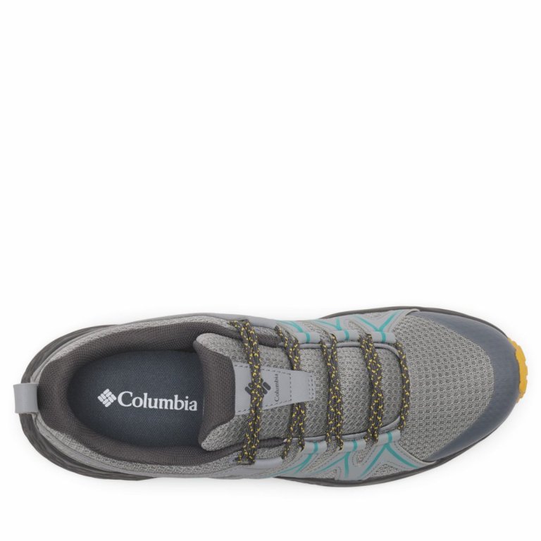 Взуття Columbia Peakfreak Roam™ M - сіре