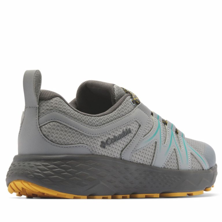 Взуття Columbia Peakfreak Roam™ M - сіре