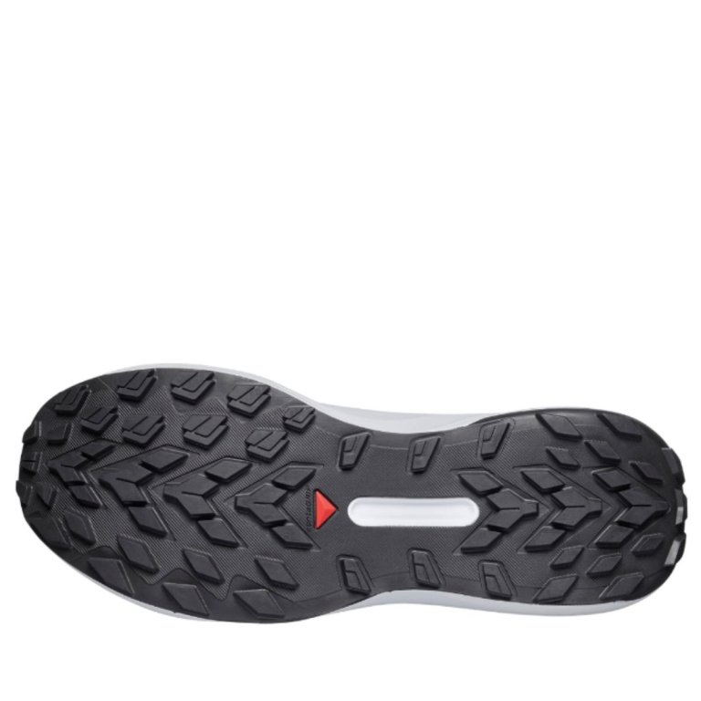 Кросівки Salomon Genesis GTX M - сині