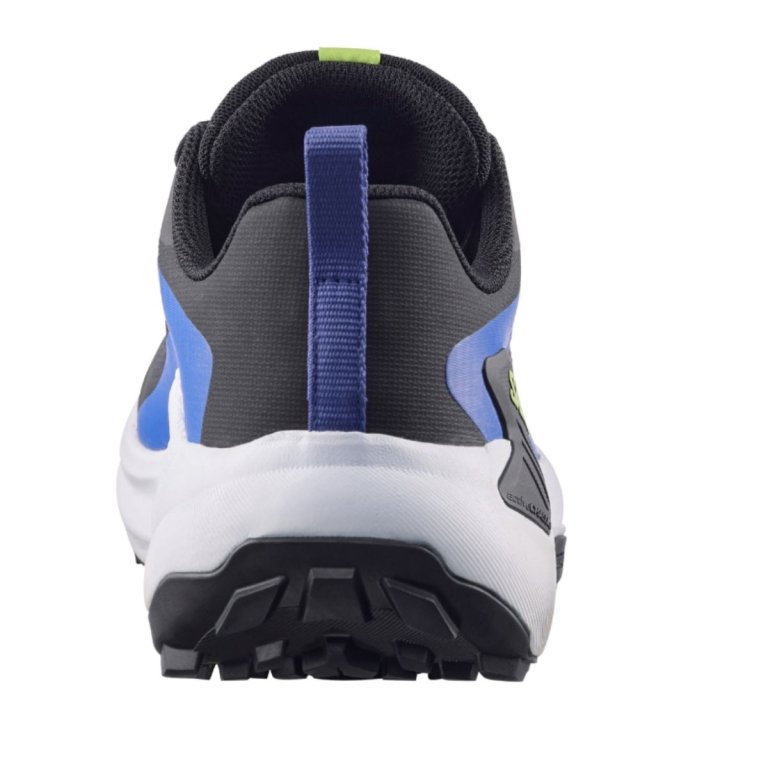 Кросівки Salomon Genesis GTX M - сині