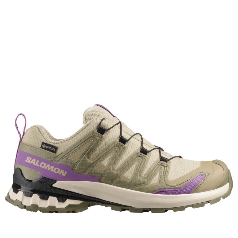 Кросвки Salomon Xa Pro 3D V9 GTX W - бежево/фіолетові