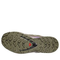 Кросвки Salomon Xa Pro 3D V9 GTX W - бежево/фіолетові