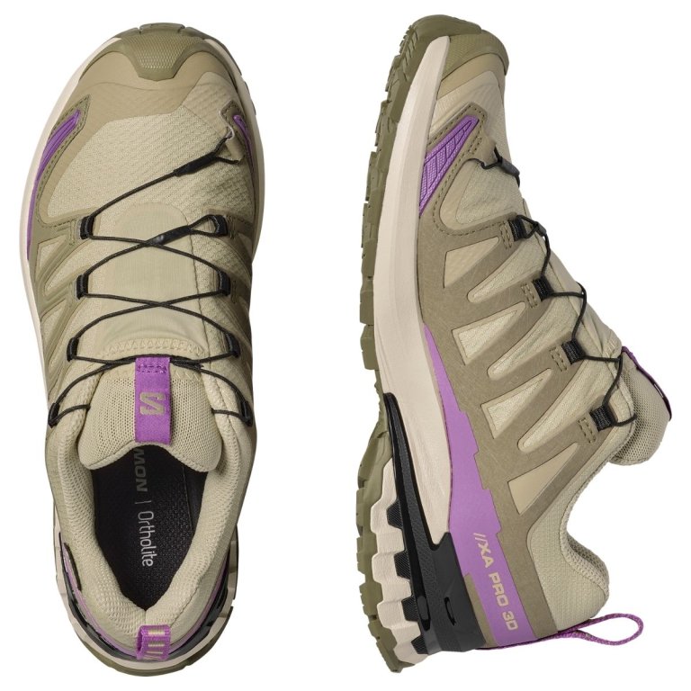 Кросвки Salomon Xa Pro 3D V9 GTX W - бежево/фіолетові
