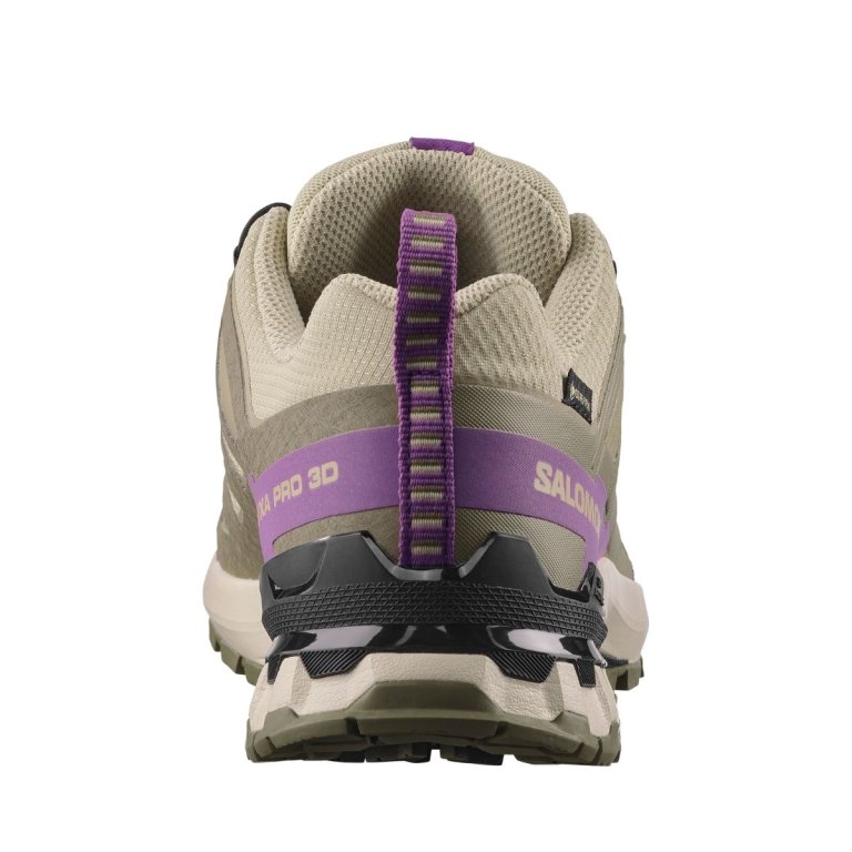 Кросвки Salomon Xa Pro 3D V9 GTX W - бежево/фіолетові