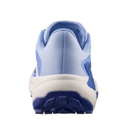 Кросівки Salomon Genesis W - сині