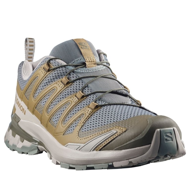 Кросівки Salomon Xa Pro 3D V9 M - коричнево/зелені
