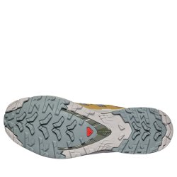 Кросівки Salomon Xa Pro 3D V9 M - коричнево/зелені