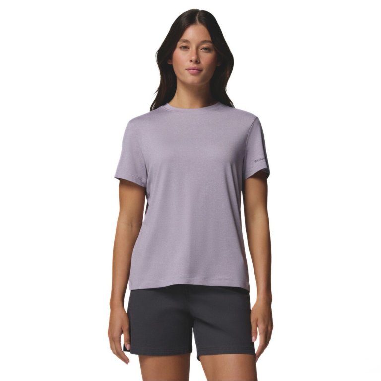 Футболка Columbia Parsons Point™ SS Logo Tee W - фіолетова