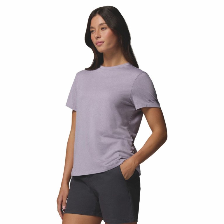 Футболка Columbia Parsons Point™ SS Logo Tee W - фіолетова
