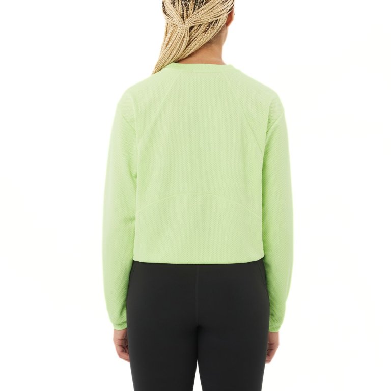 Світшот Salomon Motomesh Crewneck W - зелений