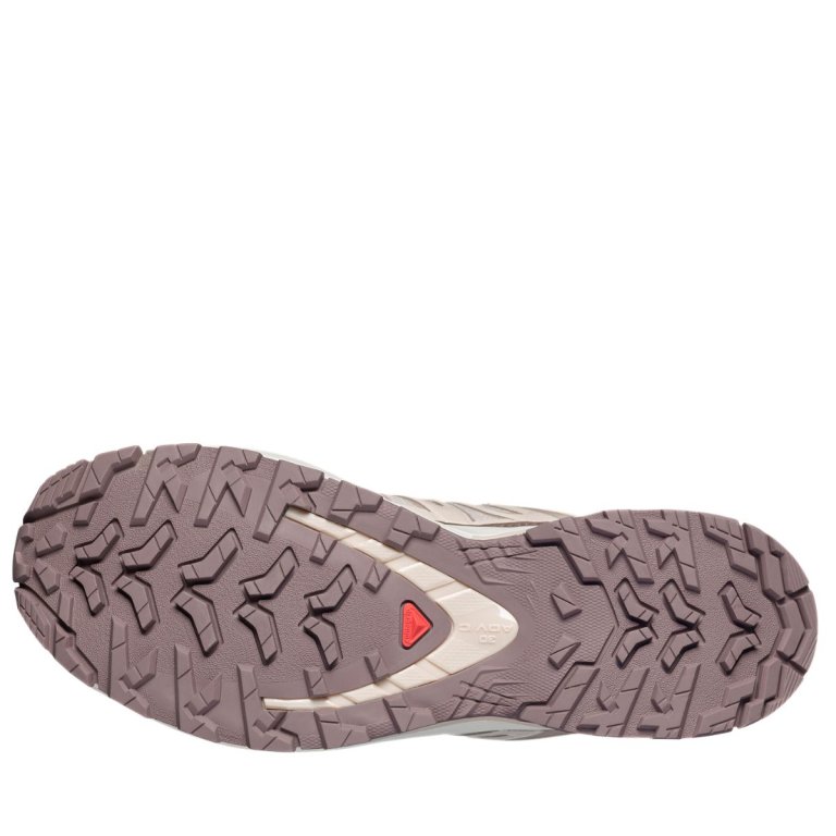 Кросівки Salomon Xa Pro 3D V9 Lifelong W - бежево/рожеві