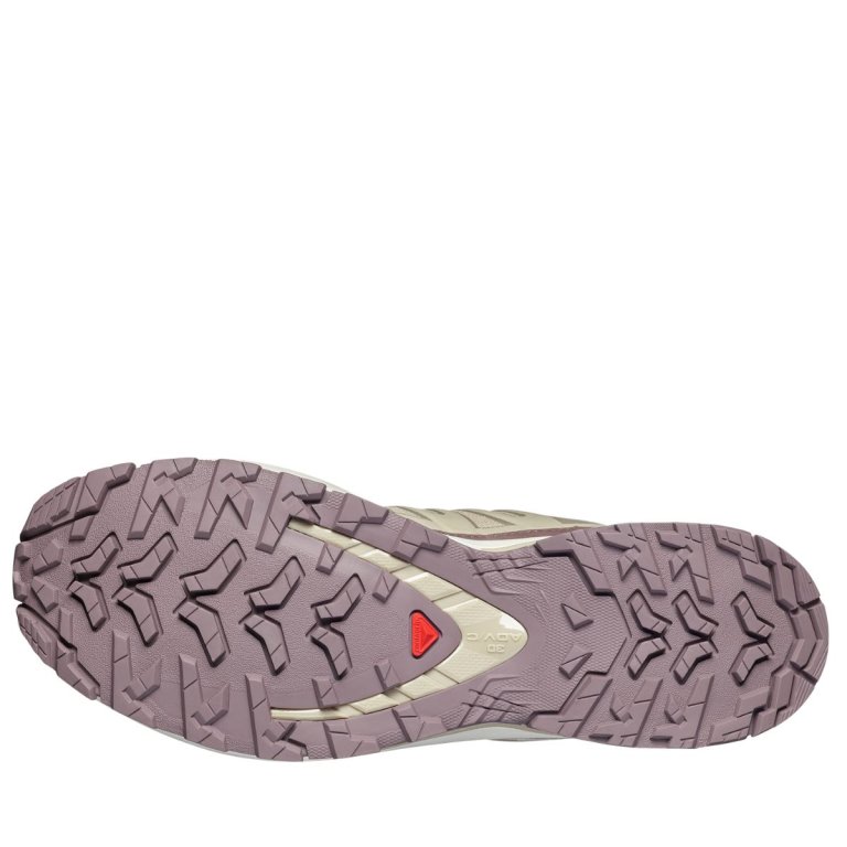 Кросівки Salomon Xa Pro 3D V9 Lifelong M - бежеві