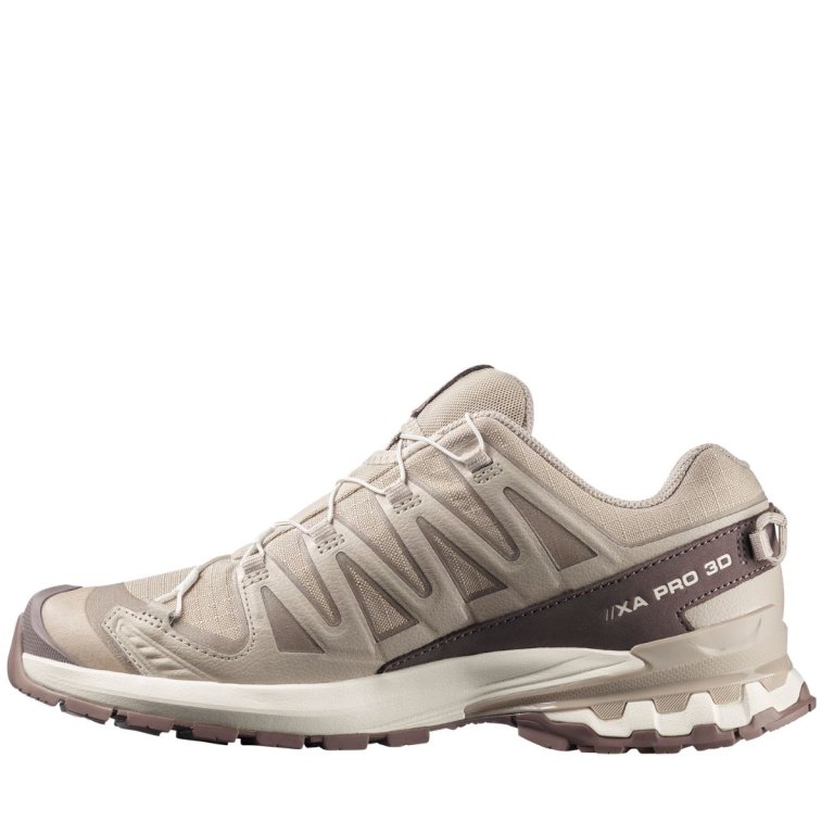 Кросівки Salomon Xa Pro 3D V9 Lifelong M - бежеві