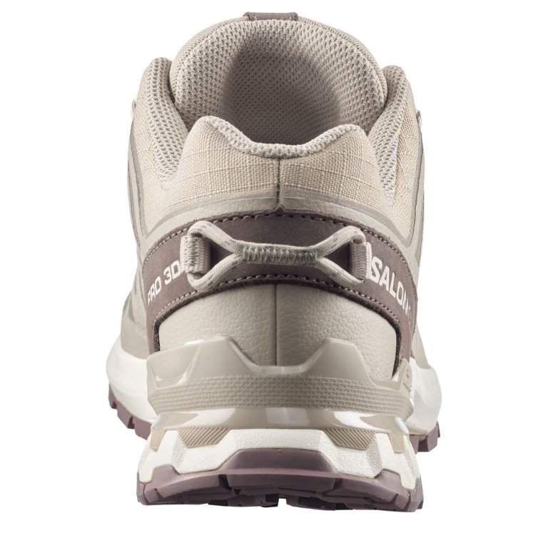 Кросівки Salomon Xa Pro 3D V9 Lifelong M - бежеві