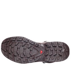Черевики Salomon Quest Echo GTX W - коричневі