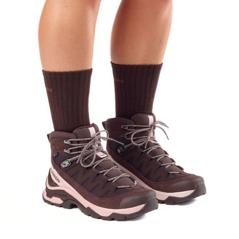 Черевики Salomon Quest Echo GTX W - коричневі