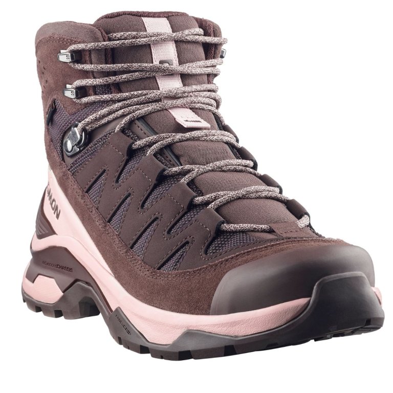 Черевики Salomon Quest Echo GTX W - коричневі