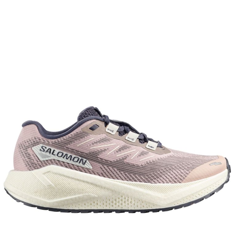 Salomon Aero Blaze 3 Grvl W - фіолетова/біла