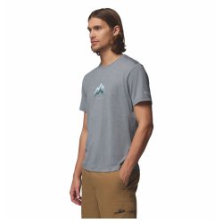 Футболка Columbia Parsons Point™ SS Graphic Tee M - сіра