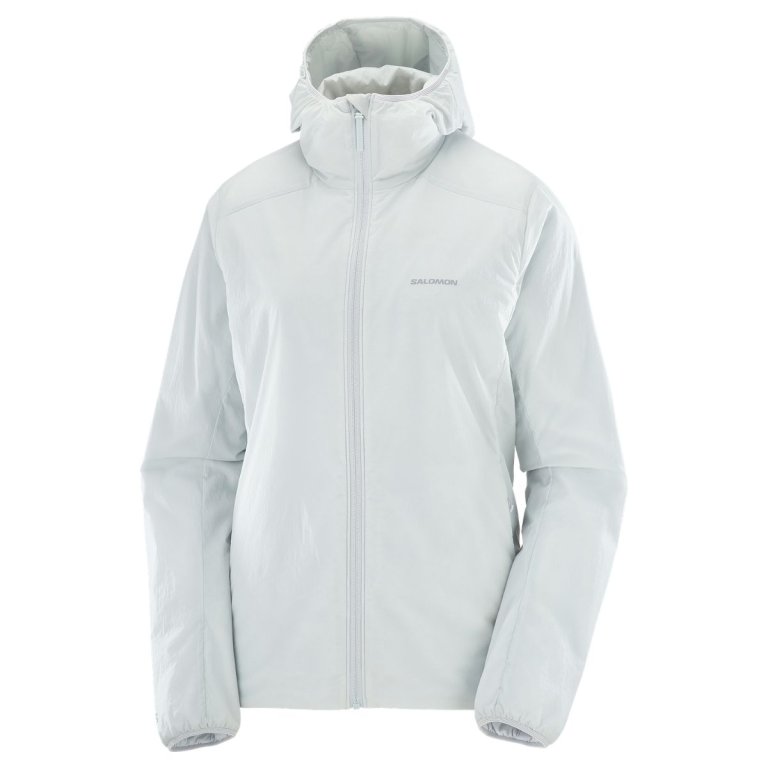 Куртка Salomon Mountain Flex Jkt HD W - синя