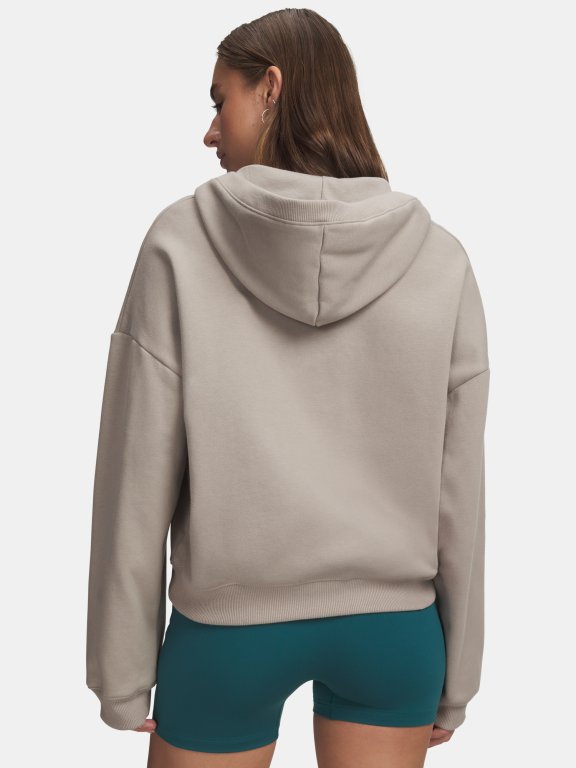 Худі Under Armour Icon Fleece HZ Hoodie Wmn Brown