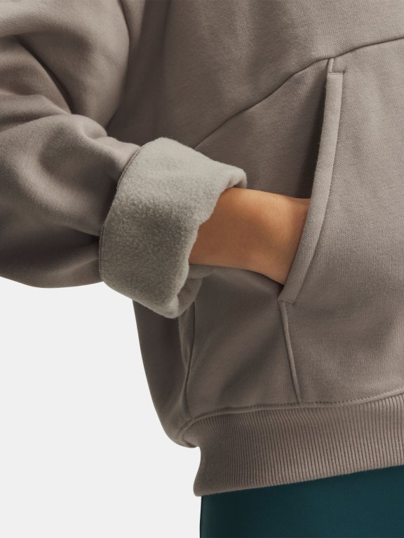 Худі Under Armour Icon Fleece HZ Hoodie Wmn Brown