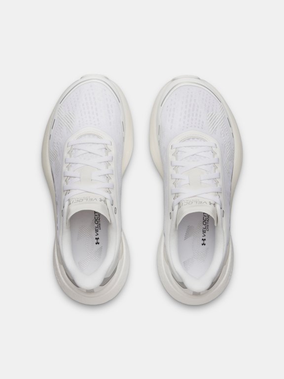 Кросівки Under Armour Velociti Distance Wmn white
