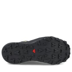Кросівки Salomon Thundercross GTX W - чорні