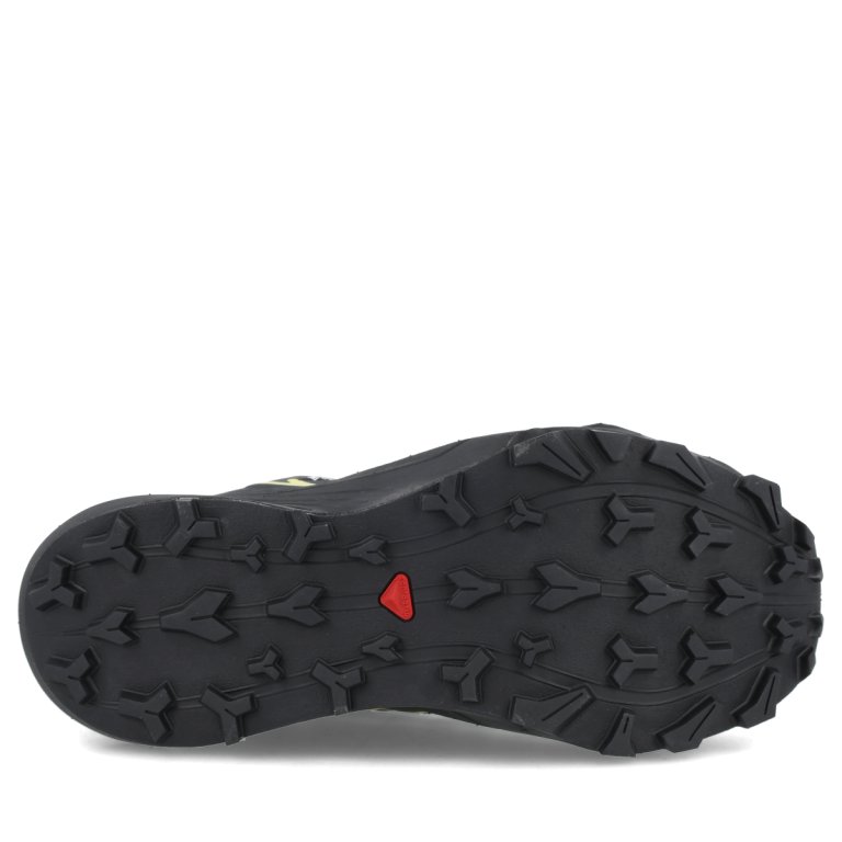 Кросівки Salomon Thundercross GTX W - чорні