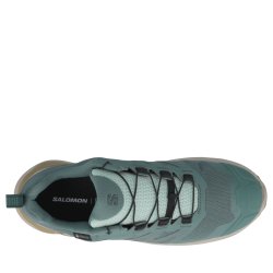 Кросівки Salomon X-Adventure GTX W - синій/коричневий