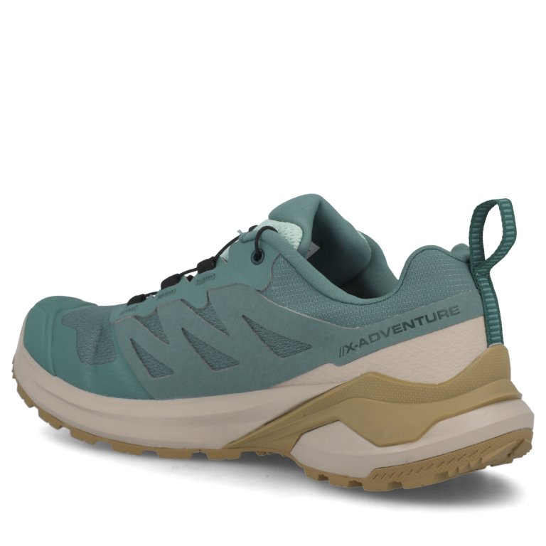 Кросівки Salomon X-Adventure GTX W - синій/коричневий