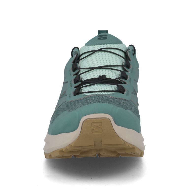 Кросівки Salomon X-Adventure GTX W - синій/коричневий