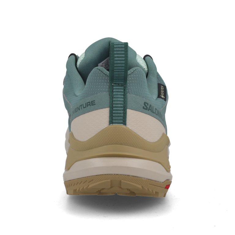 Кросівки Salomon X-Adventure GTX W - синій/коричневий