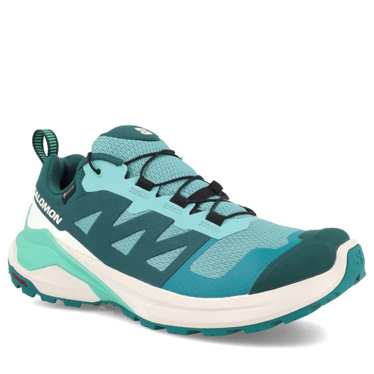 Кросівки Salomon X-Adventure GTX W - сині/ молочні