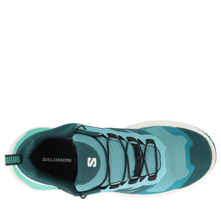 Кросівки Salomon X-Adventure GTX W - сині/ молочні