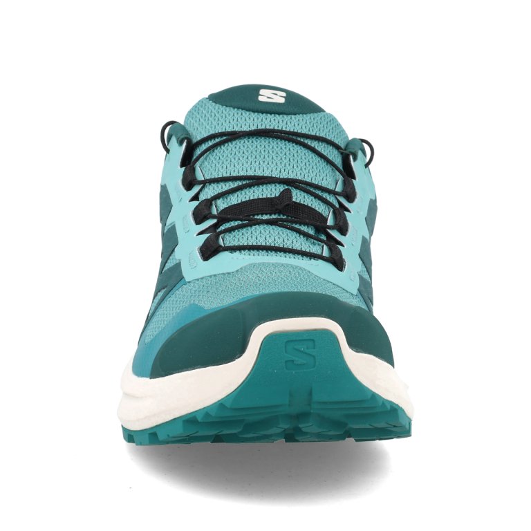 Кросівки Salomon X-Adventure GTX W - сині/ молочні