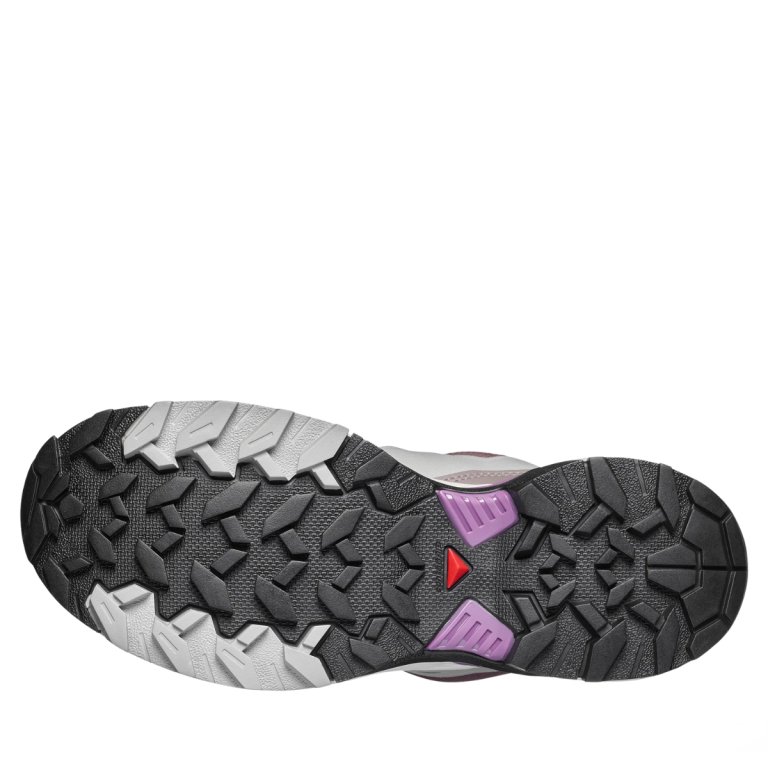 Взуття Salomon X Ultra 360 Edge Gtx W - фіолетові