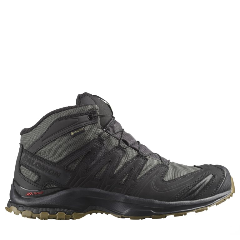 Черевики Salomon Xa Tracker Gtx - коричнево/сіро/чорні