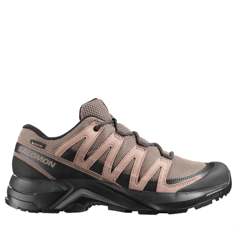 Черевики Salomon X-Adventure Recon Gtx M - коричневі