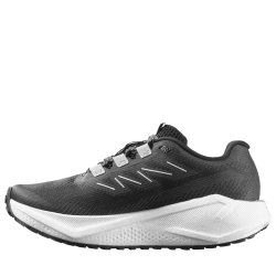 Salomon Aero Blaze 3 Grvl W - чорна/біла