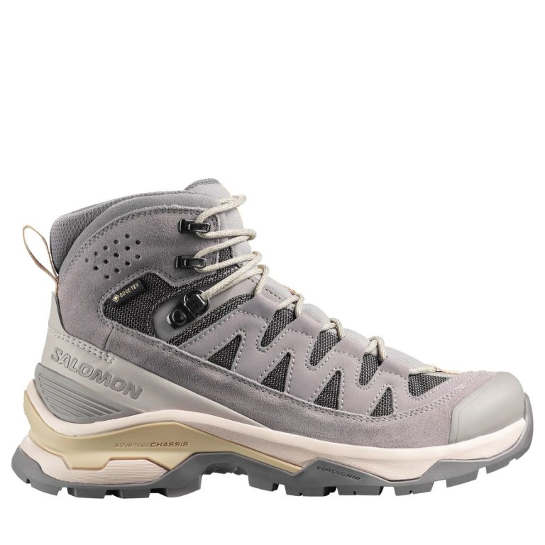 Salomon Quest Echo GTX W - сірий